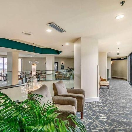 Upscale Oceanview 1Br Dog Friendly! 1104 Lägenhet Myrtle Beach Exteriör bild